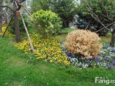 中铁建南北通透五明户型交通便利采买便利采光好