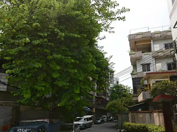 珊瑚新村