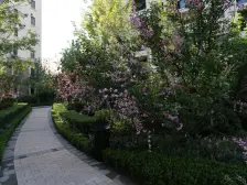 南向院地上两层,大空间,美好生活一步到位