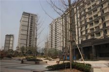 阳光清风随时造访生活 空间布局有致清新空气