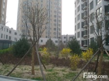 此房无增值税,精妆修拎包入住,住宅性质