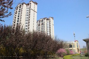 夹河新城次新小区电梯洋房三室两厅两卫