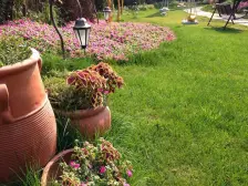 国际公馆叠拼别墅,一二楼带院,全家品牌装修