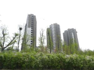 崇文旁,早夜市近,白沙河畔,出税,看房方便