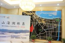 上叠4层+5层+阁楼,精装修未入住 装修花了60万