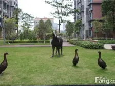 人车分流 精装靠中间小区花园 安静好住的