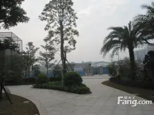 茶山新城大盘,大户型安静看花园,配套齐全,