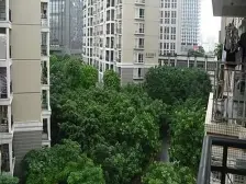 怡丰公寓,住宅性质,朝南向采光好,无欠款,诚意出售