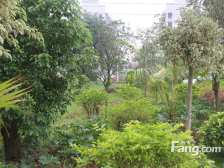 飞机户型,精装修,业主诚心出售