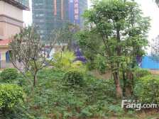 房型方正 南向 环境优美 采光良好 交通便利