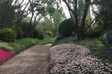 泷悦长安伊顿园 4室2厅 南 北