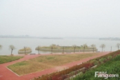 周边凤湖景观2