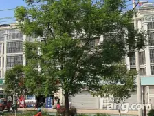 万恒东1号 多层4楼 94平 中装 45万 各出各税