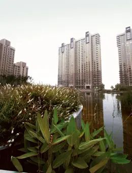 世茂奥临花园启动“缤纷社区活动月” 世茂奥临花园启动“缤纷社区活动月”