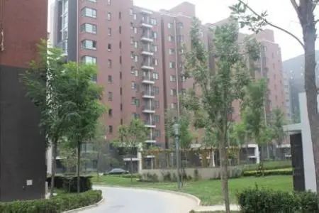 北京苏活 北京苏活
