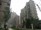 20120816汉嘉都市森林工程进度