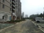 20120816汉嘉都市森林工程进度