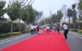 东龙壹湾业主答谢会——嘉宾们走上红地毯步入会场