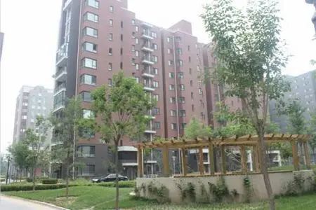 北京苏活 北京苏活