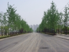 位于项目现场旁的市政道路已接近完工