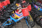 阳光首院6月7日百人自行车活动圆满成功