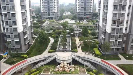 从赵阿姨家往外看的小区景观 从赵阿姨家往外看的小区景观
