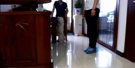 泰迪狗妞妞和小小 泰迪狗妞妞和小小
