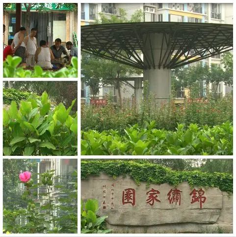 锦绣家园 锦绣家园