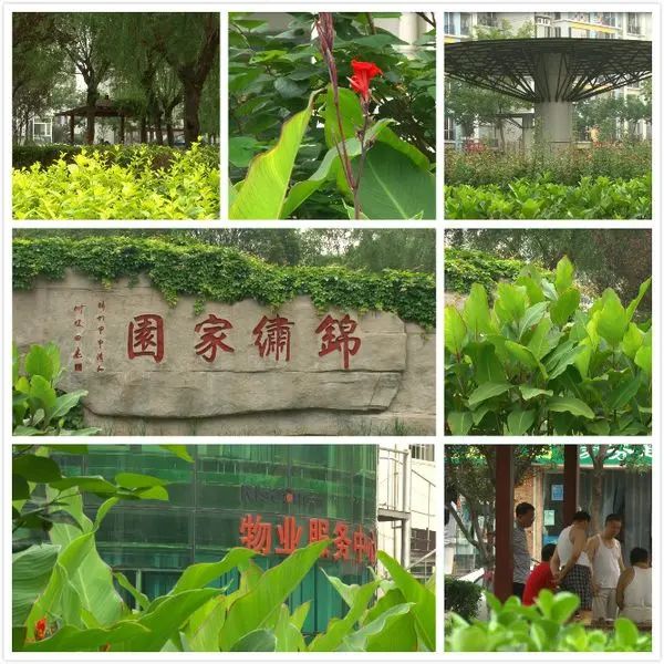 锦绣家园 锦绣家园