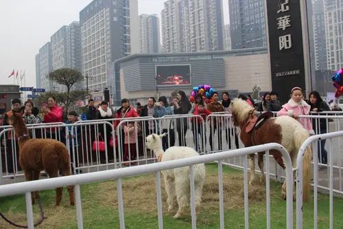 ÏãÁúÍå ÏãÁúÍå