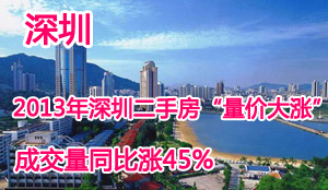 2013年深圳二手房市场报告