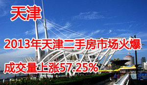 2013年天津二手房市场报告