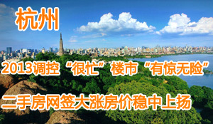 2013年杭州二手房市场报告