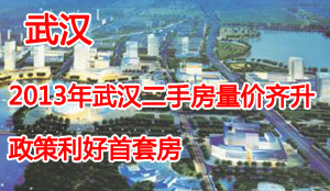 2013年武汉二手房市场报告