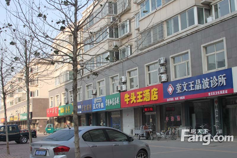 九龙华府周边配套 
