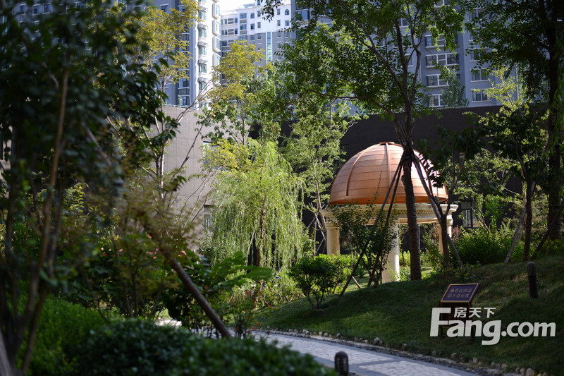 潍京一期花园景观实景图（2013-9-16） 