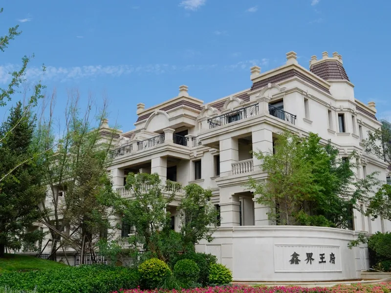 鑫界王府别墅全透明适速观光电梯