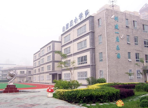 科学园小学学区房图片