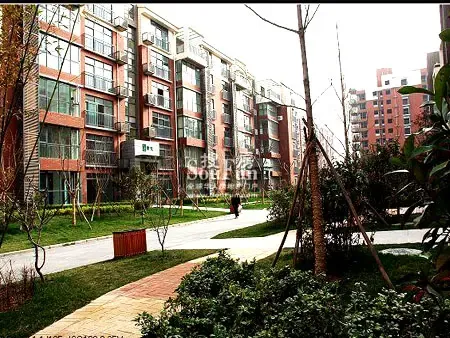 交通状况: 600,714,228专线,108,901等 周边配套 教育:白桦林居幼儿园