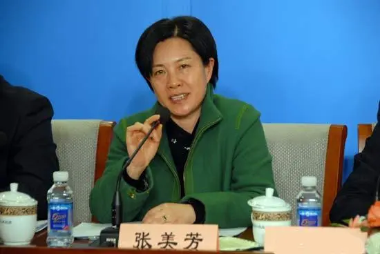 江苏张美芳被双审房产达七套 pk文强李刚贪官豪宅