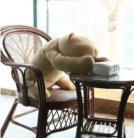 这是我的熊白老,呵呵,人生,就是这么滴充满惊喜!