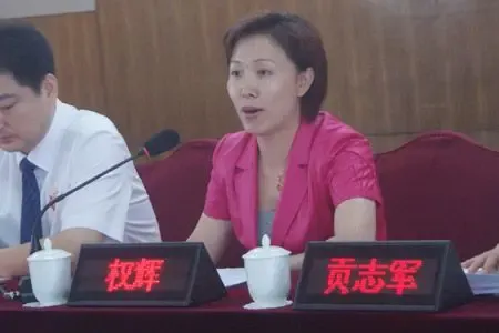 无极县人民政府副县长权辉同志讲话