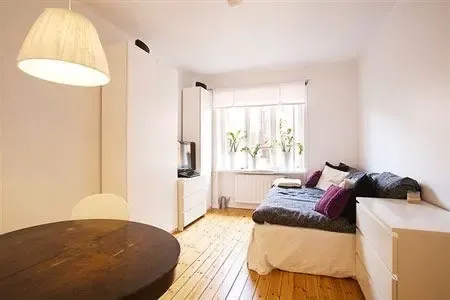 青年男女的单身公寓很给力 小户型精彩呈现(图)