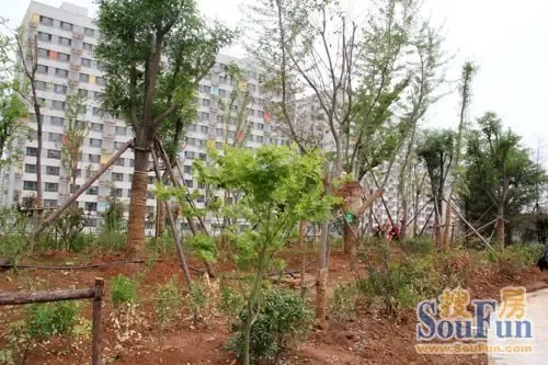 阳光100刘长山公园盛大开放