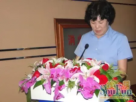 威高房地产产业集团董事长周淑华致辞