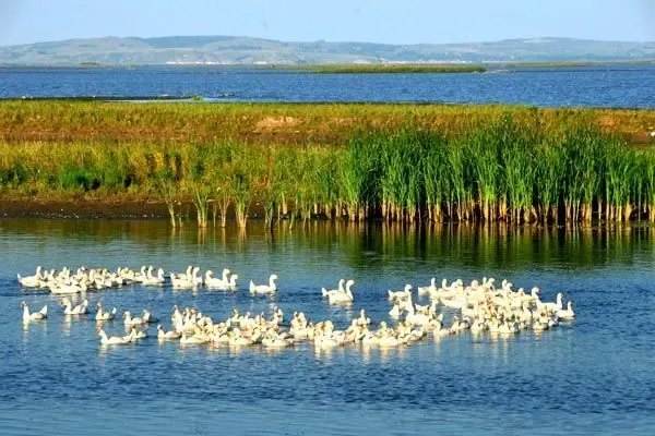 聚焦哈东:"冰城历史见证者"老道外的前生今世_房产资讯-哈尔滨房天下