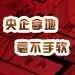 土地早报11月20号