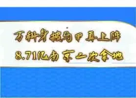 万科身披马甲再上阵 8.71亿南京二次拿地