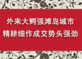 外来大鳄强滩岛城市场 精耕细作成交势头强劲