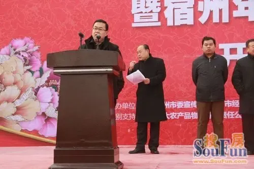 宿州市天下第一石城运营管理有限公司总经理陈彦致辞宿州市正县级调研